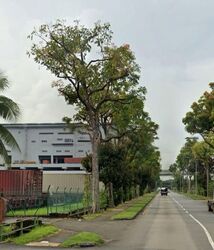 Tuas Avenue 3 (D22), Factory #627326851